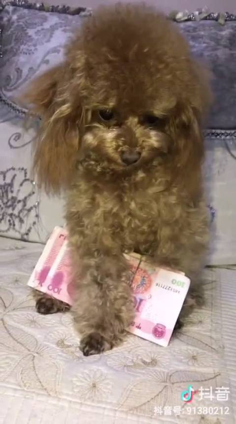 只认钱不认人 搞笑幽默微博