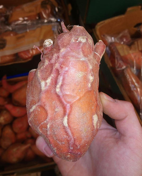 令人起鸡皮疙瘩(令人起鸡皮疙瘩的歌) 令人起鸡皮疙瘩(令人起鸡皮疙瘩的歌)