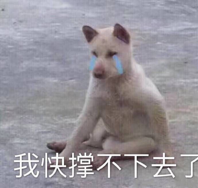 女友跟我说感觉活着好累怎么回答