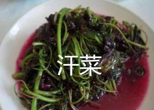 重庆勒些奇怪名字的菜你们都吃过几种,有吃不惯的吗?|血皮菜|重庆|豌豆尖_新浪新闻