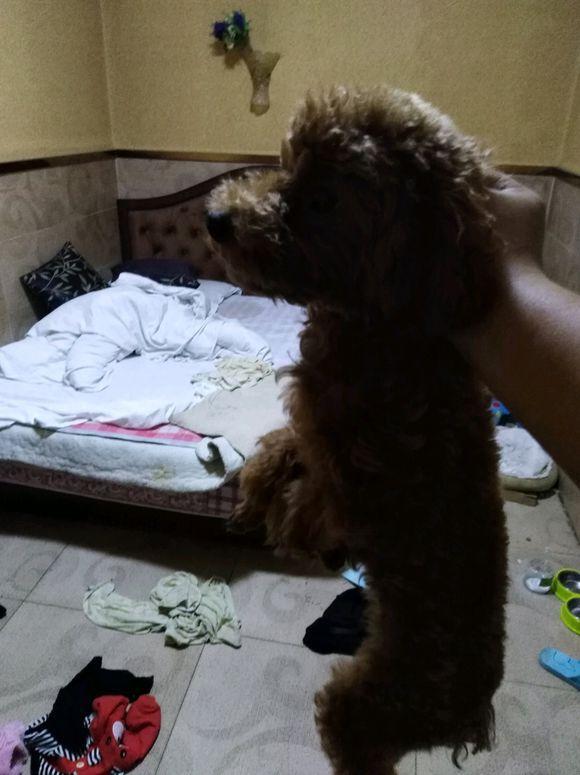 下班回家,打开门的那一刹那,整个人都蒙圈了!