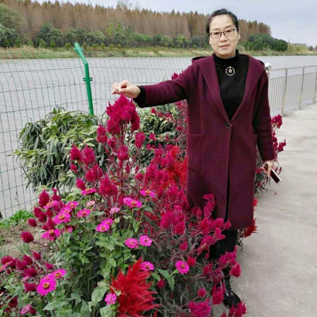 深度纪录片《好医生陈贯章》近期拍摄,邱建英担当制片人