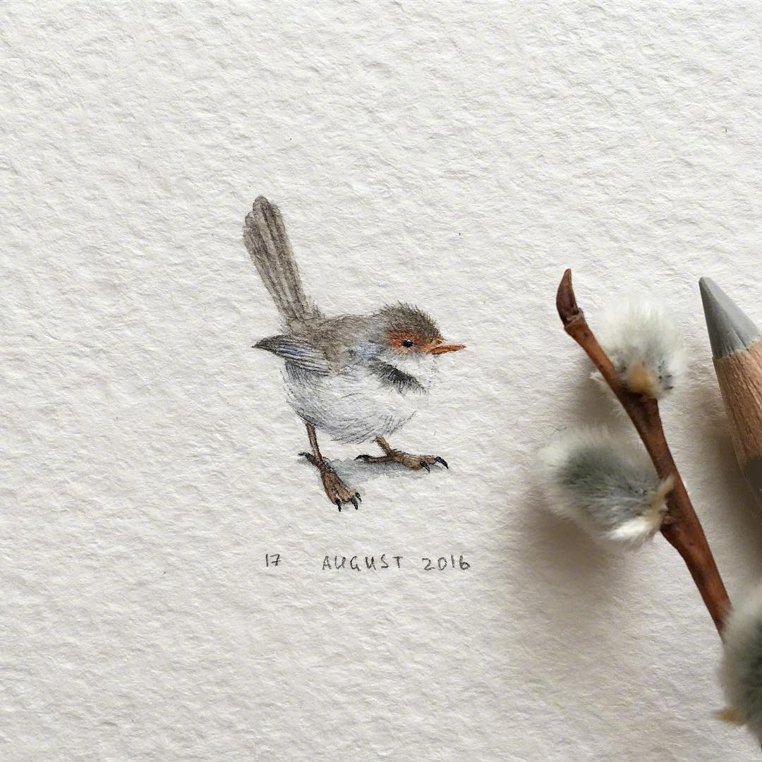 动物袖珍水彩画 ins:irene_mia