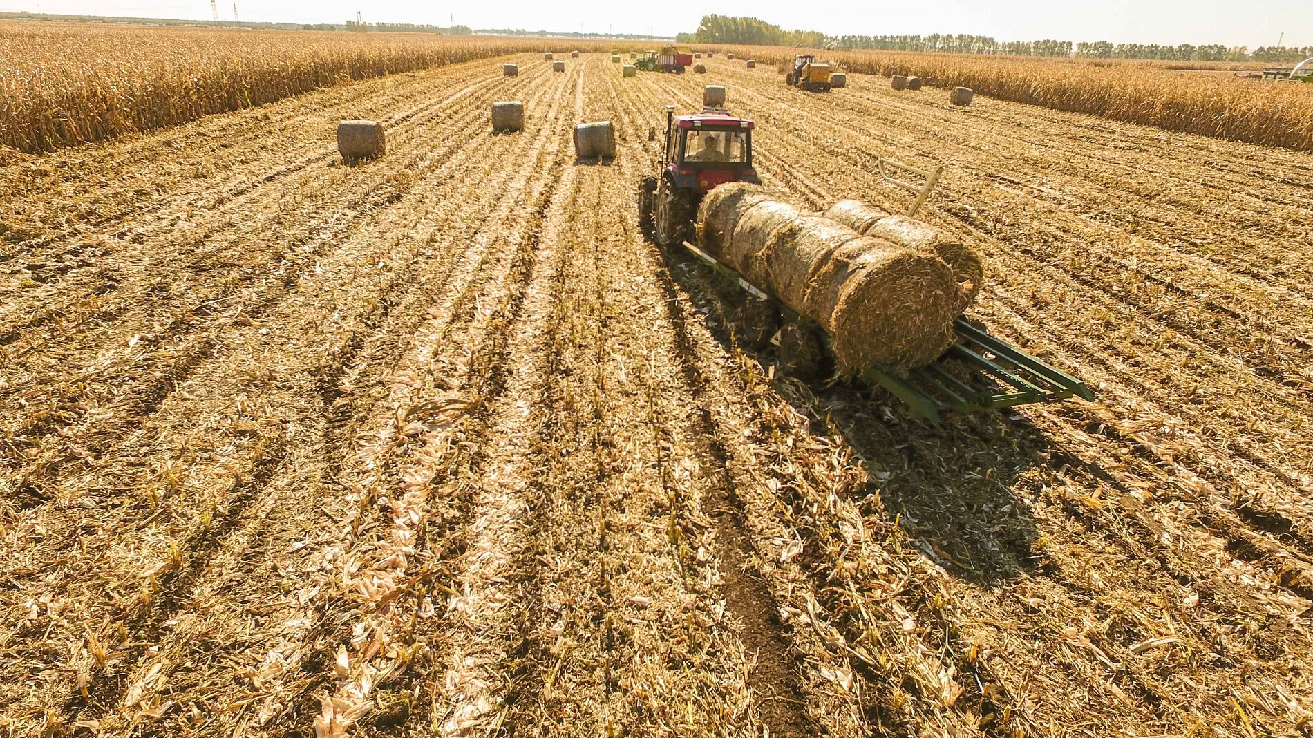 秸秆还田虽然环保,但农民吐槽:成本太高,我们都快种不起地了!