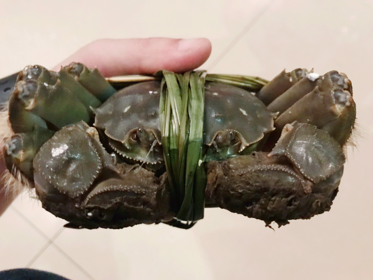 今天有盘海吃野生的