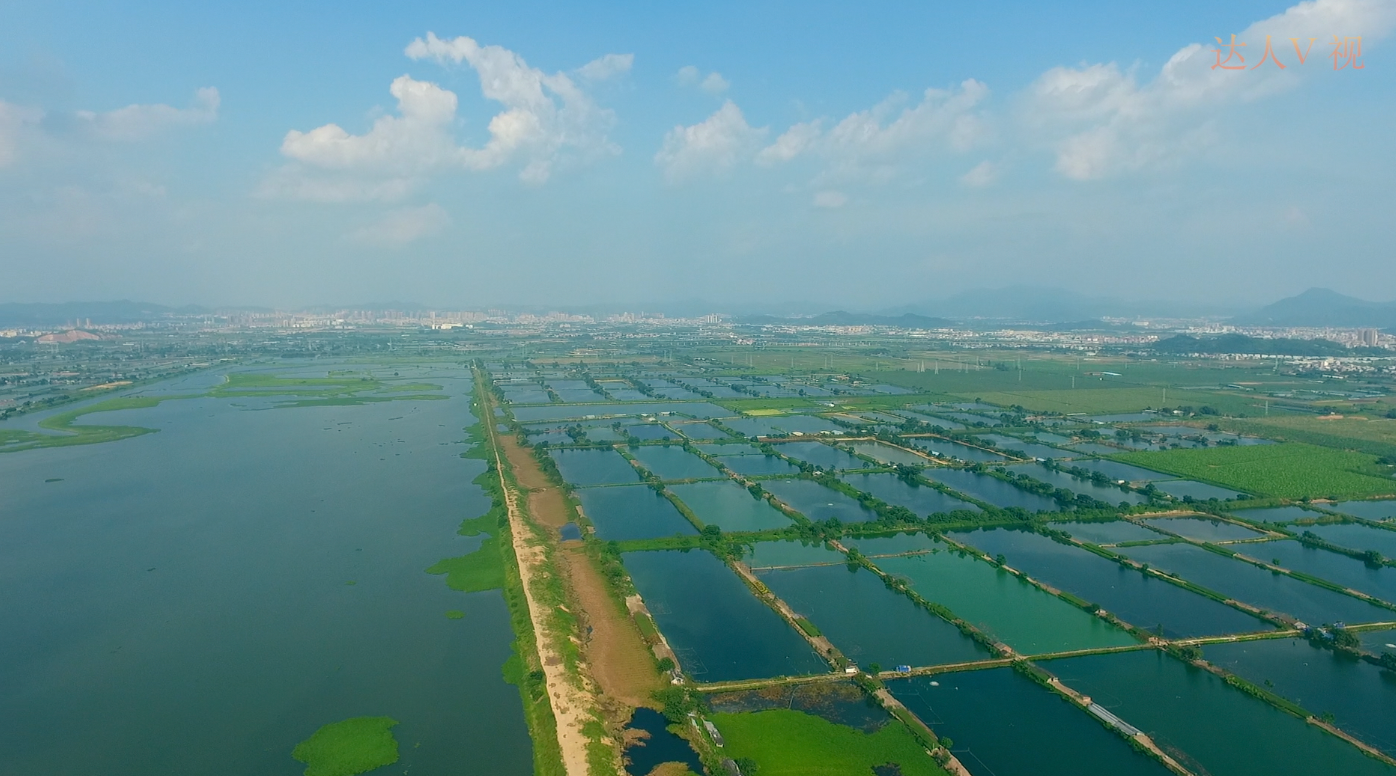 高空航拍带你了解广东十分难得的潼湖湿地,占地2654.8公顷