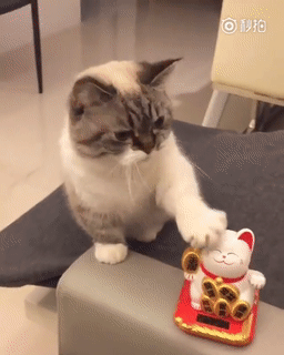 256_320竖版 竖屏gif 动态图 动图