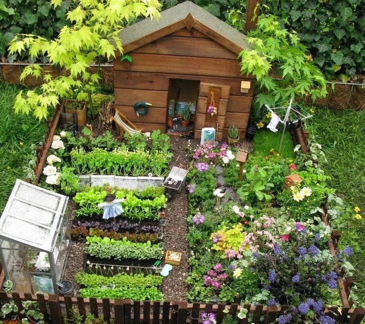 9个用普通植物做出来的小型仙女花园,变成价值上百的植物景观