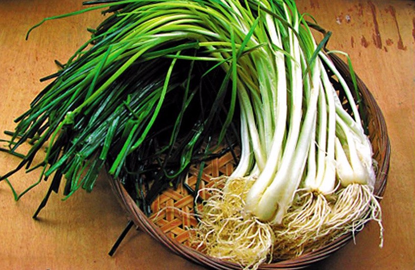 荞菜炒火腩,最经典的清明菜