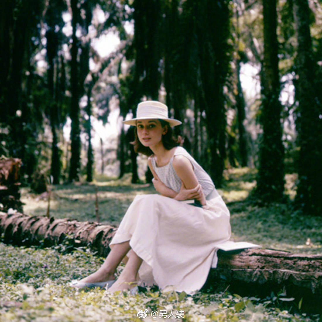 Audrey Hepburn in un'immagine promozionale per l'Unicef: 464779 - Movieplayer.it