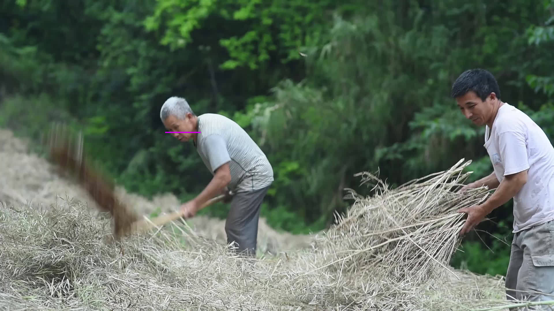 四川宜宾屏山农村结婚习俗:大山里的姑娘今天