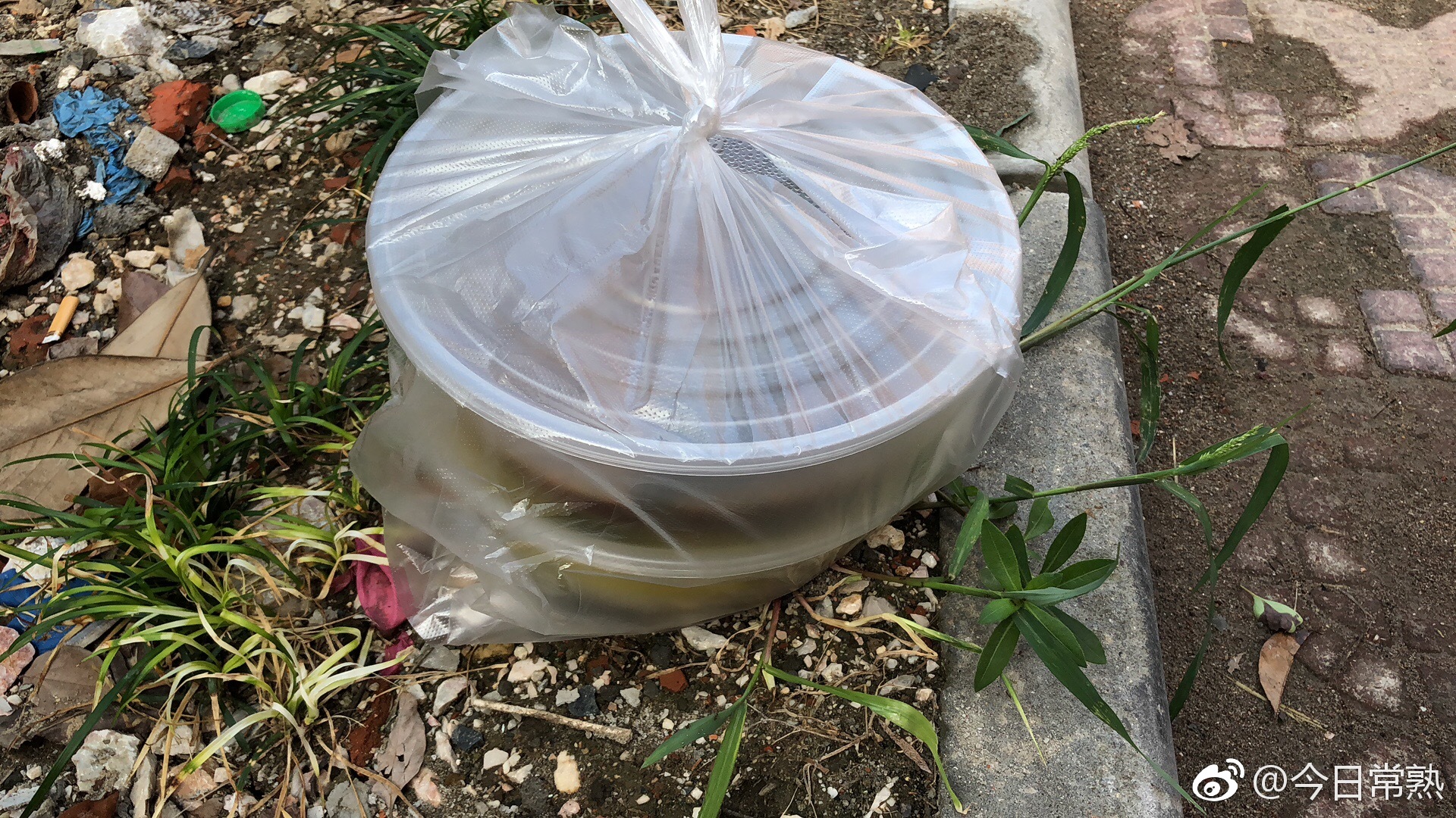 和一个男生相亲,吃完饭居然打包剩菜,你们怎么看?