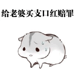 小仓鼠版跟老婆道歉表情包