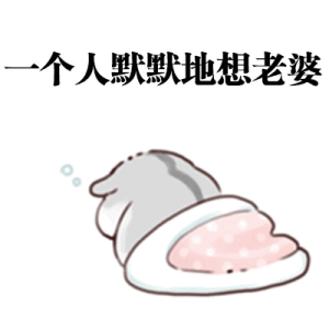 小仓鼠版跟老婆道歉表情包