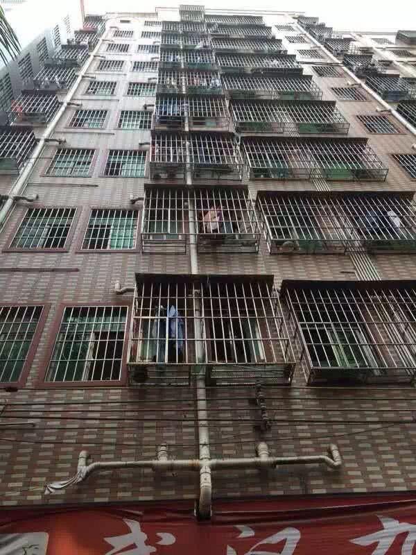 在深圳有这么一栋房子,你就可以不用做事,每天打牌喝酒去旅游!