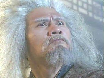 杨过真正晋级一流高手其实都是金轮法王的指点