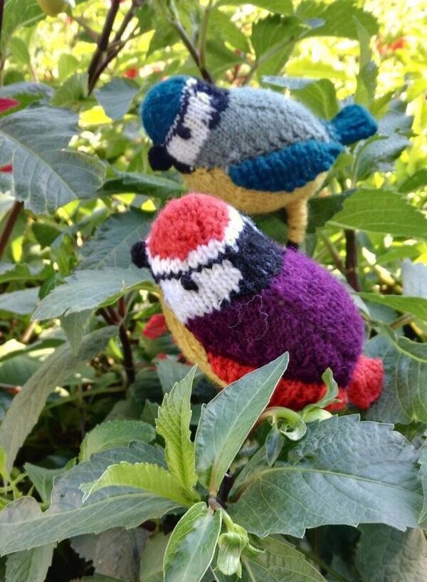 逼真的棒针编织小鸟