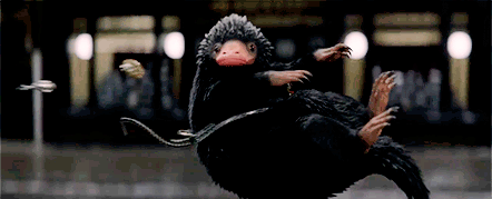 "自从《神奇动物在哪里》于2016