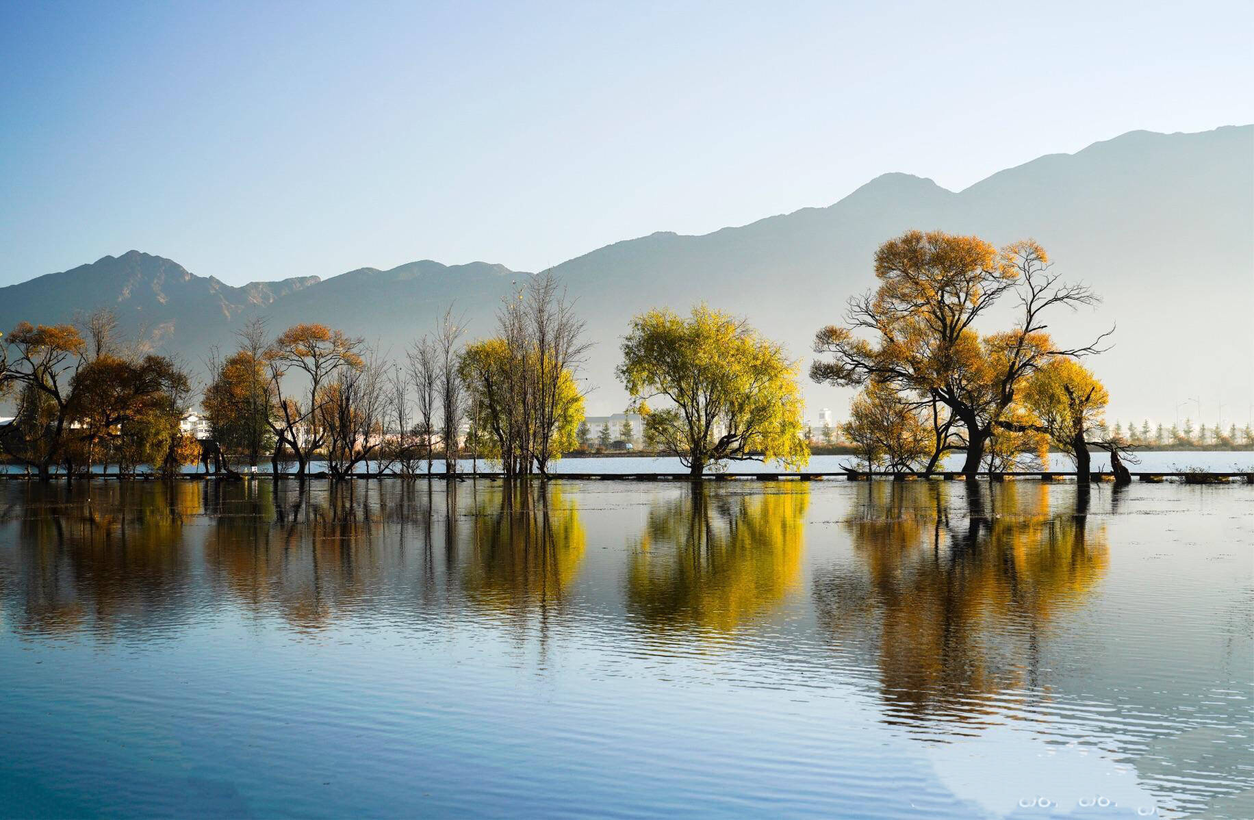 大理鹤庆黄龙潭之秋,真是美极了!