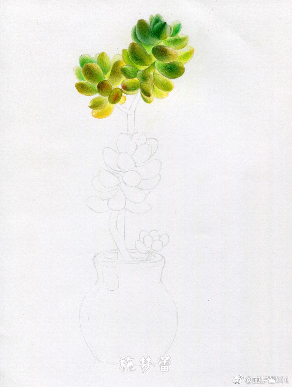 多肉笔霹雳马纸飞乐鸟彩铅纸16开投稿