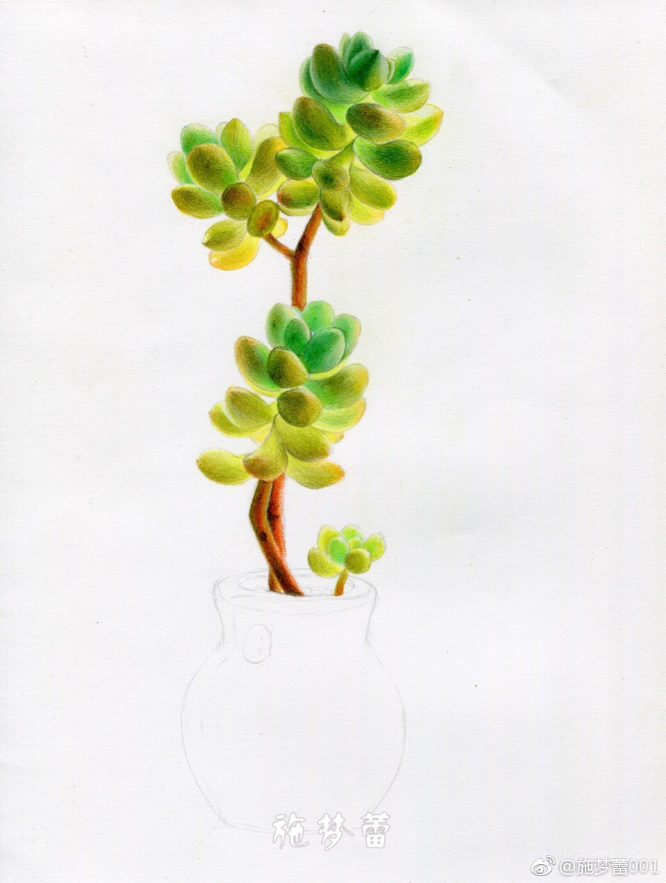 多肉笔霹雳马纸飞乐鸟彩铅纸16开投稿