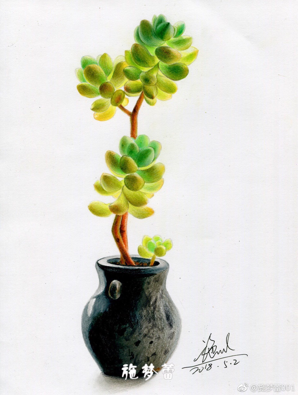 多肉笔霹雳马纸飞乐鸟彩铅纸16开投稿