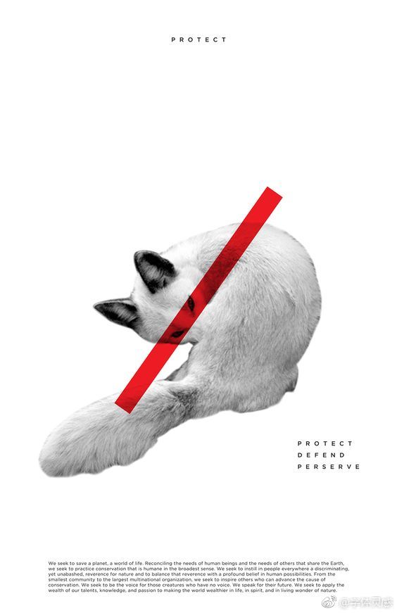 斜线排版海报设计