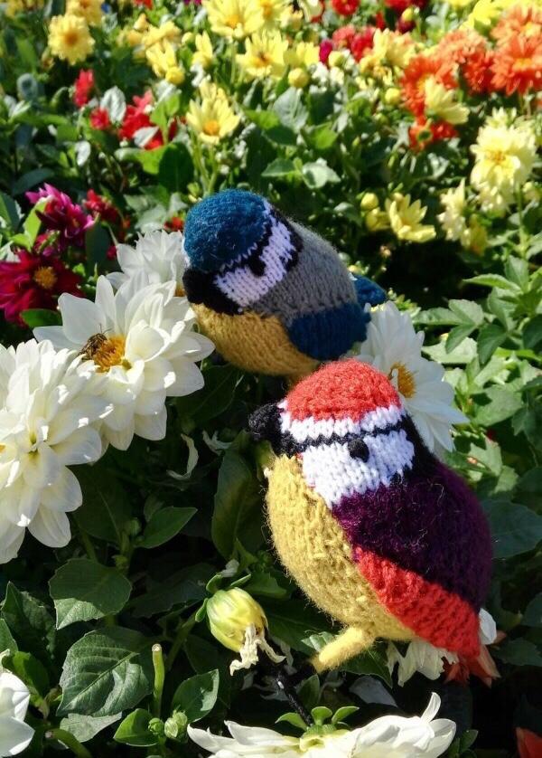 逼真的棒针编织小鸟