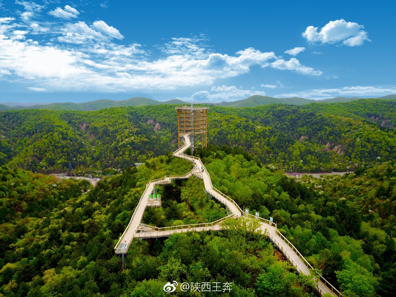 黄龙县树顶漫步景区图片