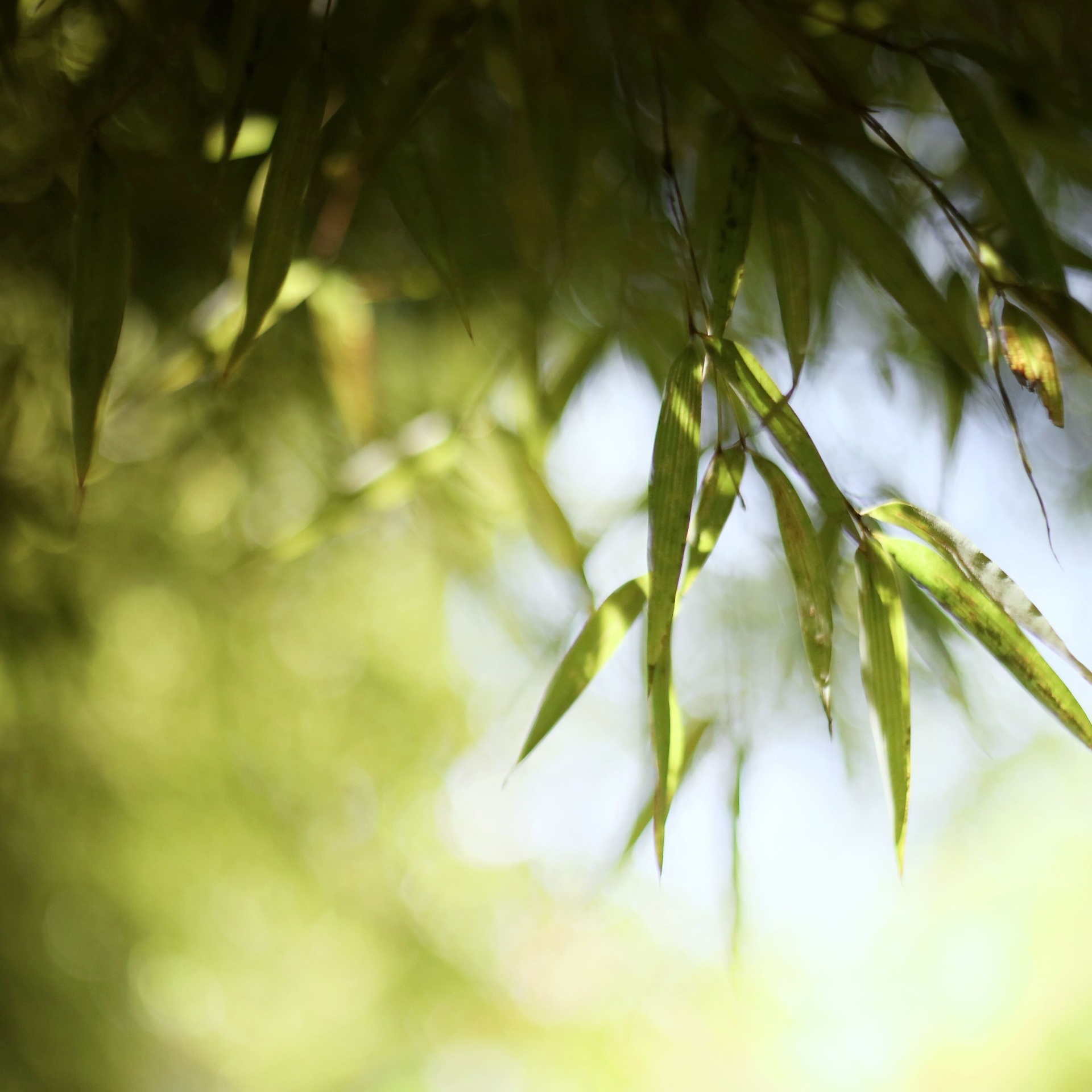 中国图库tukuchina @微相册