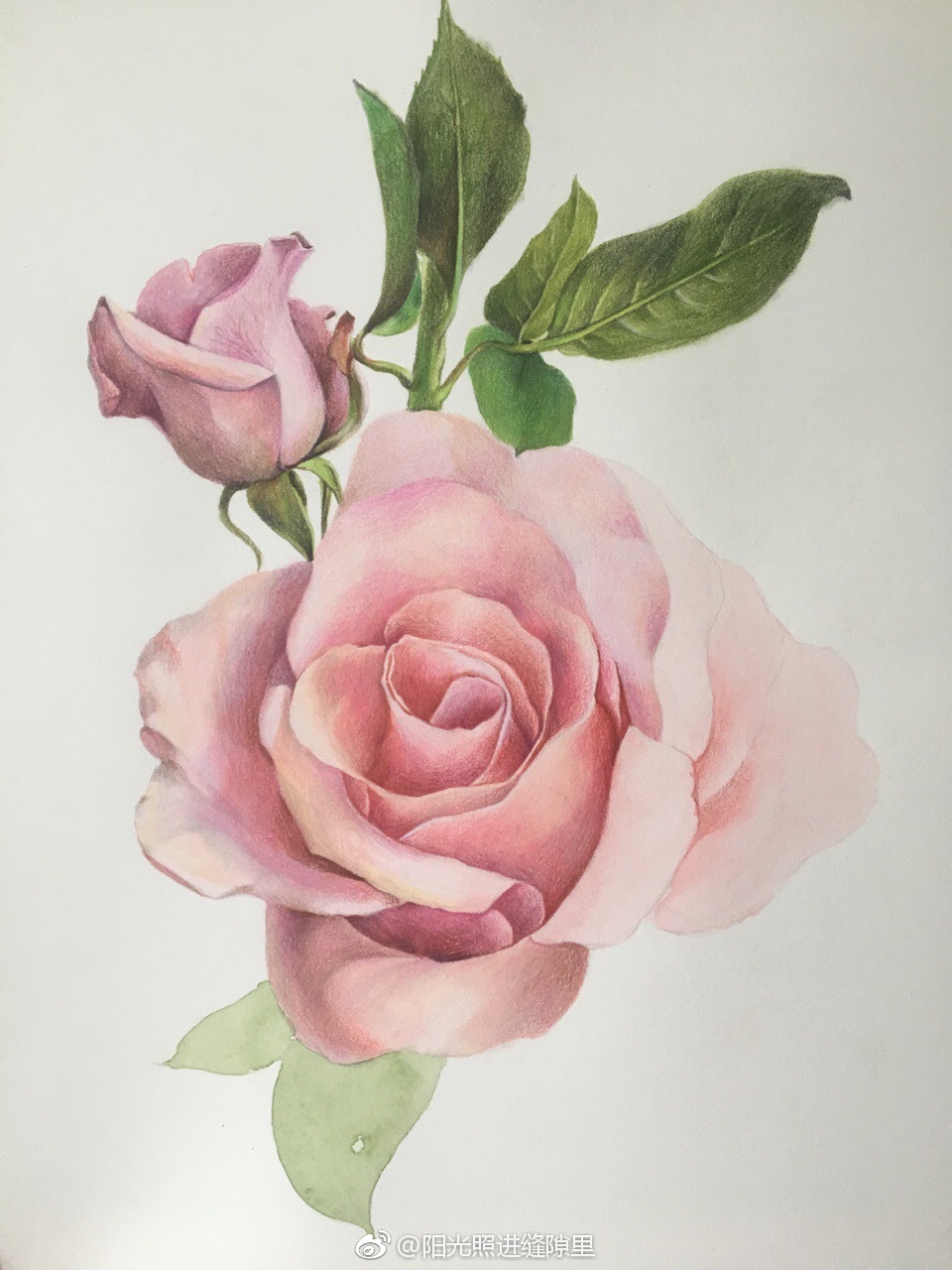 宝虹8k细纹绿辉油性彩铅鲁本斯水彩投稿