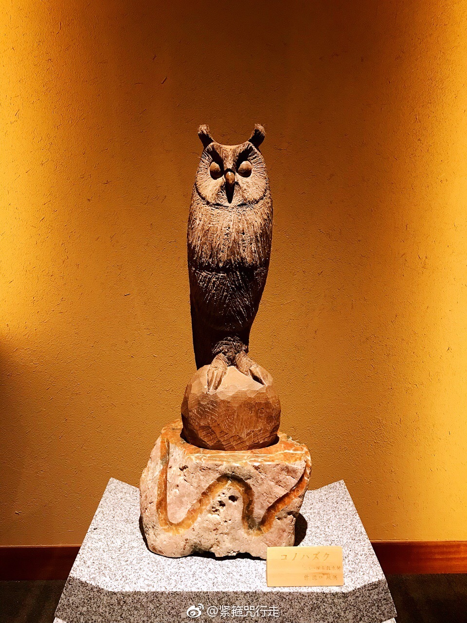 古希腊"智慧女神"雅典娜的爱鸟就是猫头鹰,它象征着智慧与学问,因此