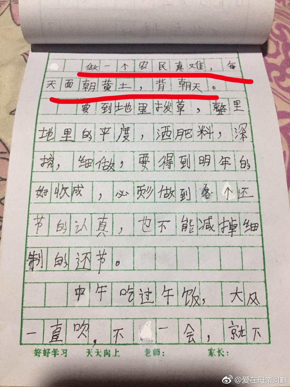 小学三年级学生写日记 感叹 做一个农民好难 小学三年级学生写日记 感叹 做一个农民好难