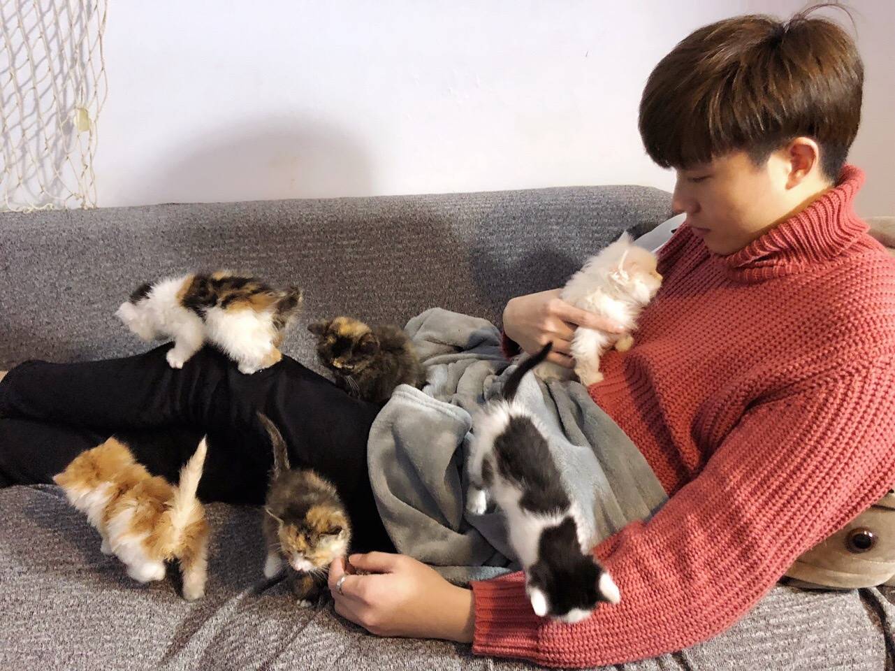 主人和猫咪合影照,非常有爱,网友:好想抱走一只小蓝猫!