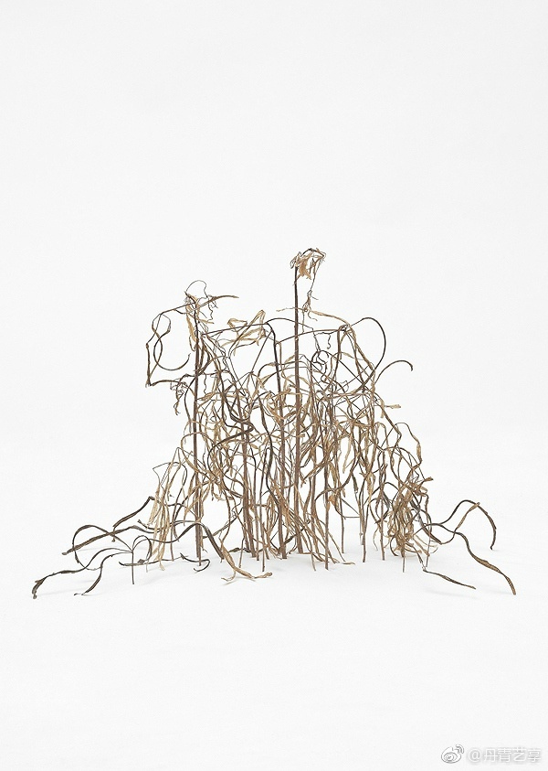 枯草jamescasebere美无处不在重要的是你能够发现它