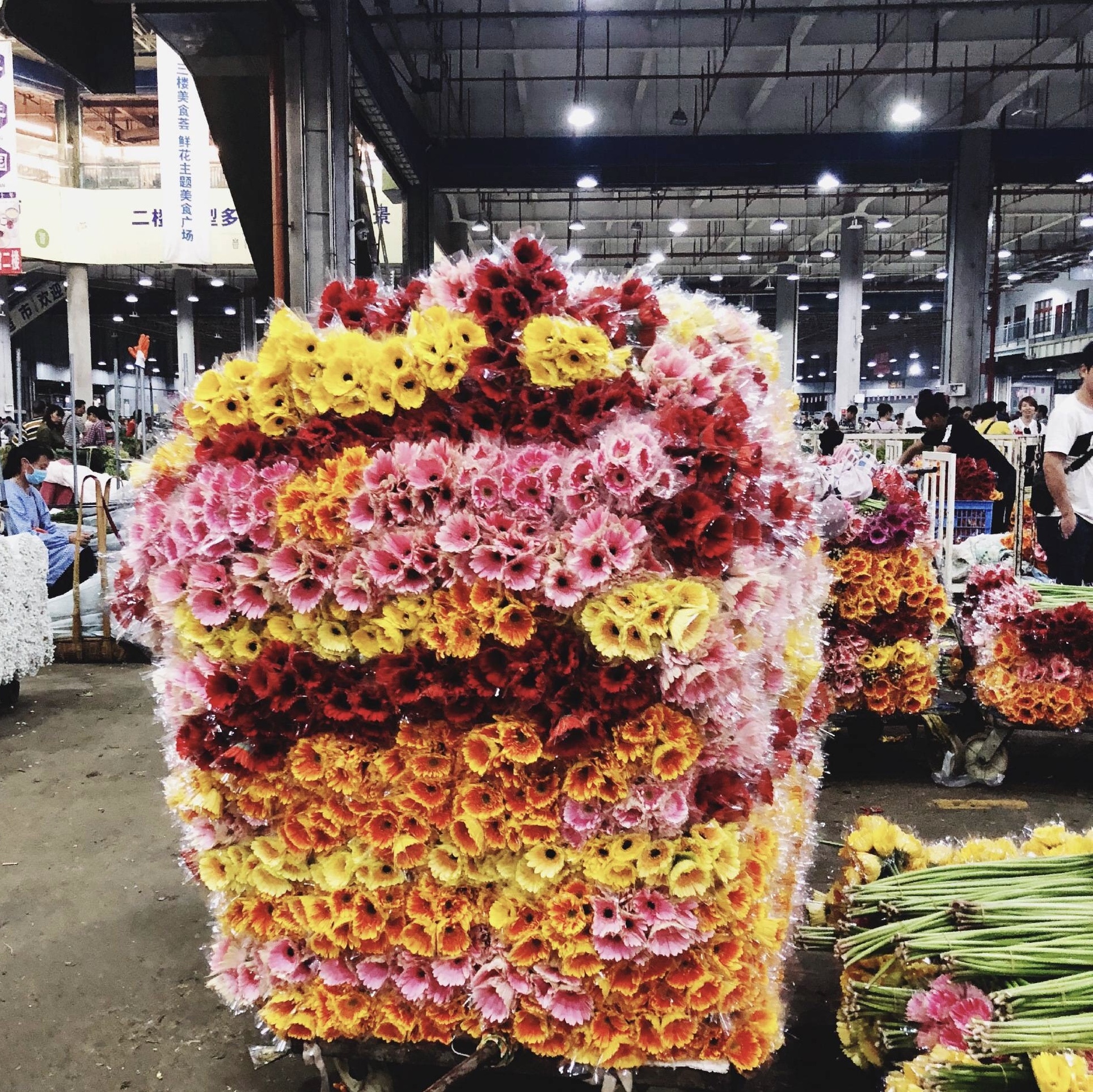 昆明斗南花市,亚洲最大的鲜花交易市场,这里才是鲜花的海洋
