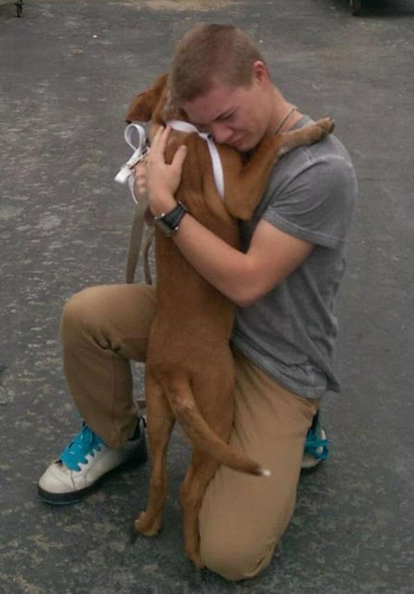 这些狗狗和主人相见的第一天合影