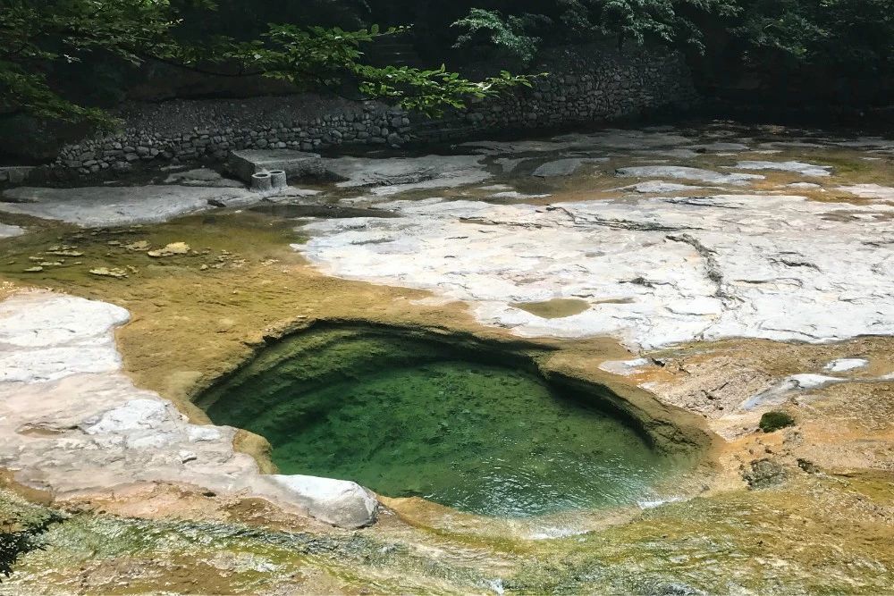 避暑天堂!中高考生和属猴人限期免费!