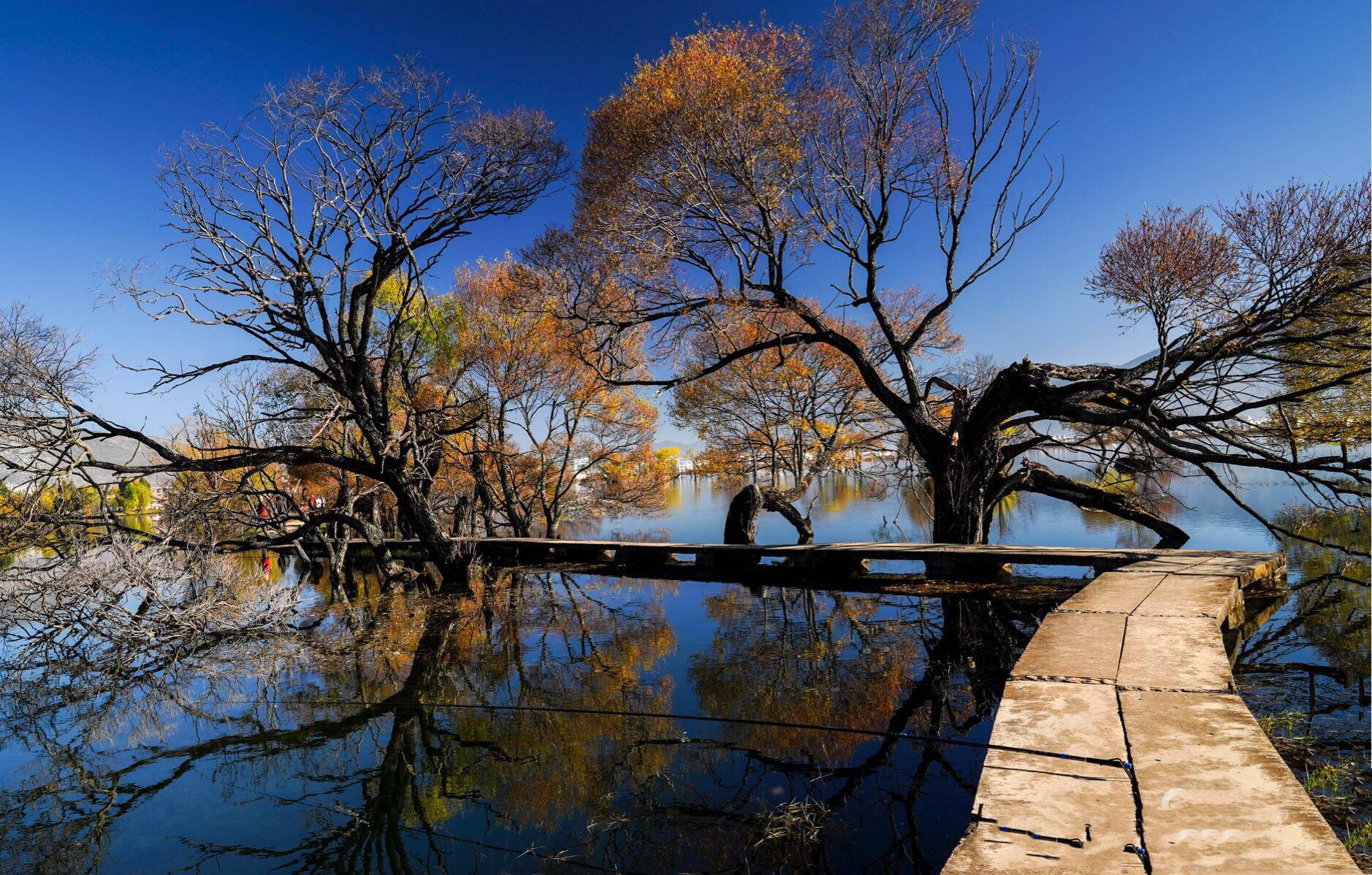大理鹤庆黄龙潭之秋,真是美极了!