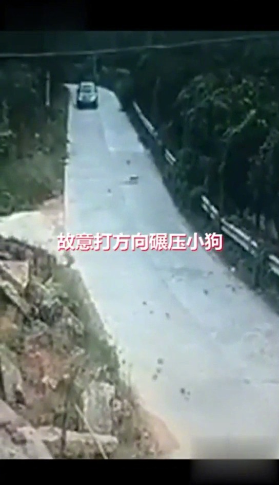 这个是脏话哦不可以乱讲