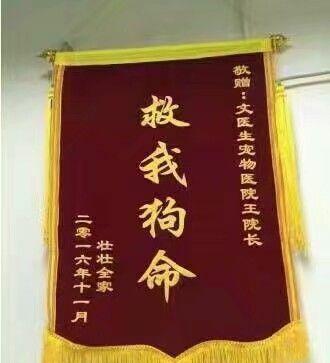 被宠物医院"救我狗命"的锦旗笑坏了