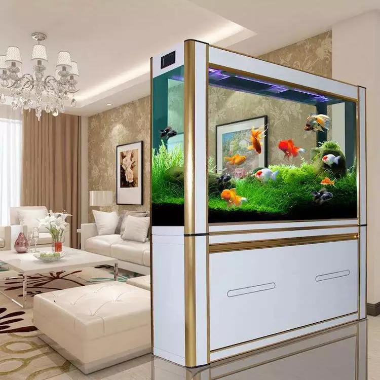 家里的鱼缸别乱放,这三个地方最合适,你放对了吗|鱼缸|绿苔|玄关_新浪