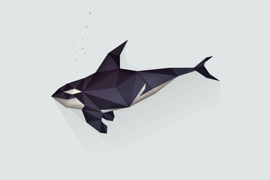 matt anderson · 创意多边形动物插画