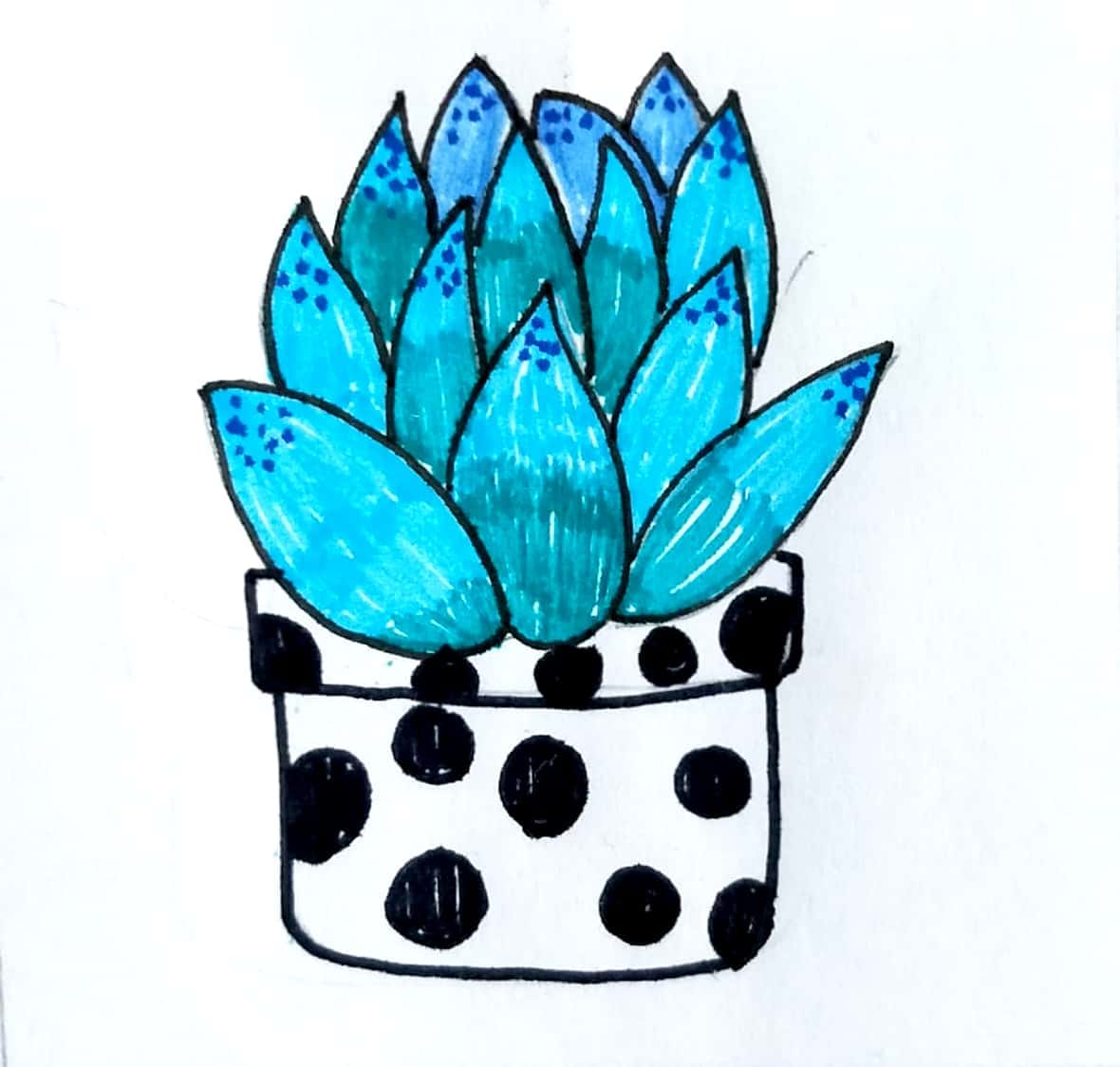 多肉简笔画 | cr.@画画的大牙ya