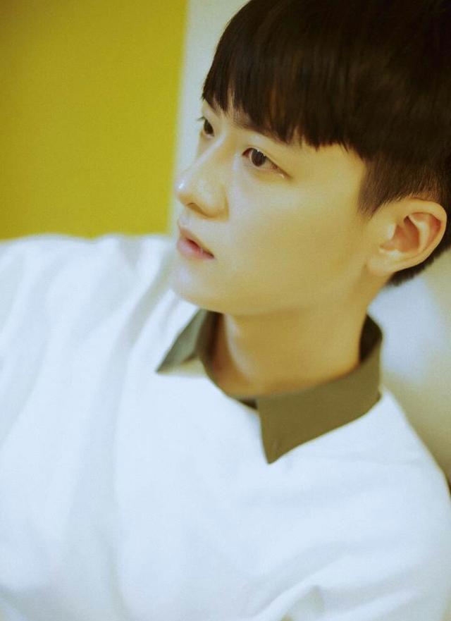 薛之谦毁婚姻,鹿晗毁青春,牛东文毁童年