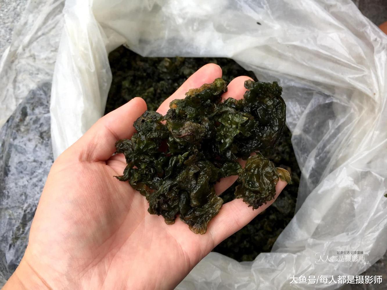 湖北77岁奶奶挖野菜城里售卖 人们却嫌脏怕有毒 不敢买