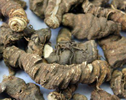 重楼作为药材有着消炎止痛的效果,它有着清热解毒,消肿止痛,凉肝定惊