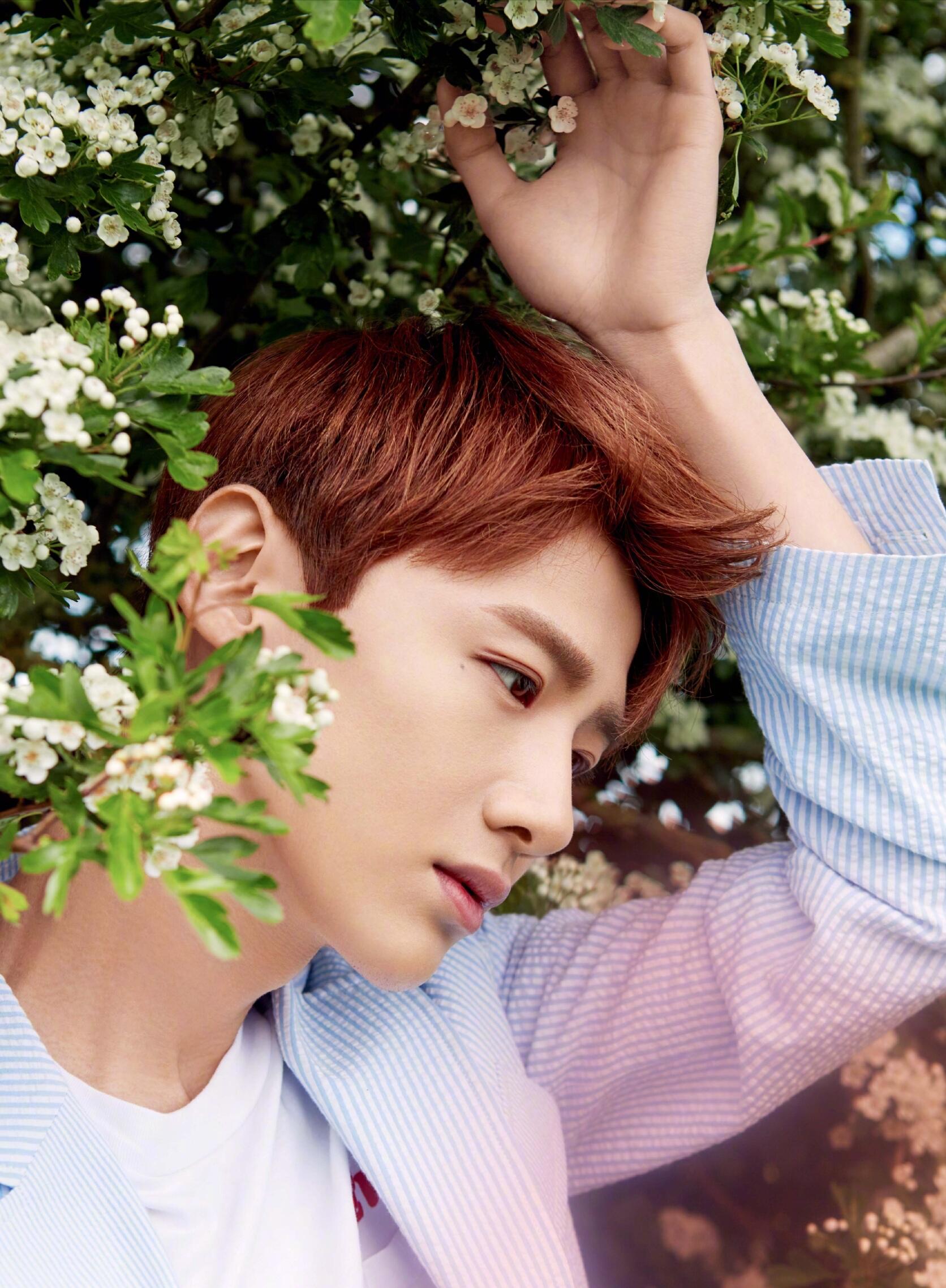 白敬亭凑到鬼鬼耳边,以为撩她头发,结果干这件事,鬼鬼白他一脸