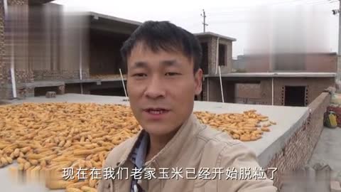 废铁涨价了,多少钱一斤?收废品大叔告诉你价格