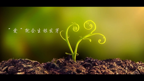 正能量爱的种子生根发芽